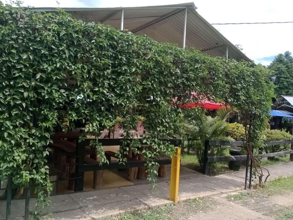Loma Linda Hotel De Naturaleza Ла Меса Екстериор снимка